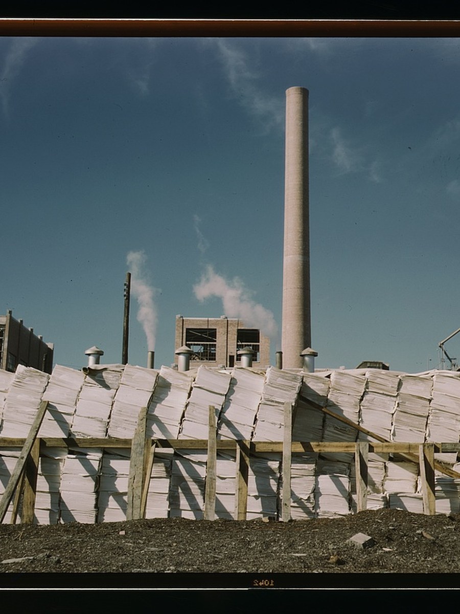 Paper and pulp mill